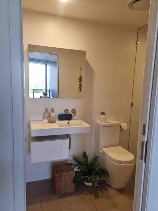 Modern 1 Brm Apartment With Pool Close To Beach 黄金海岸 外观 照片